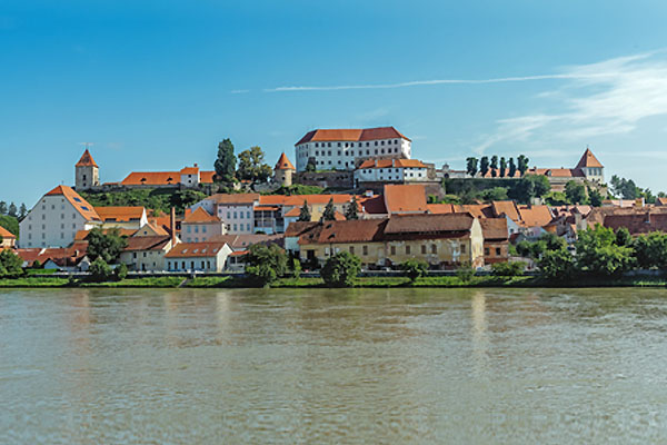 Zamek Ptuj